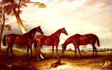 Kingfisher Marvel et le cheval Ladder John Ferneley Snr Peinture à l'huile